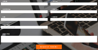DevConsole token page