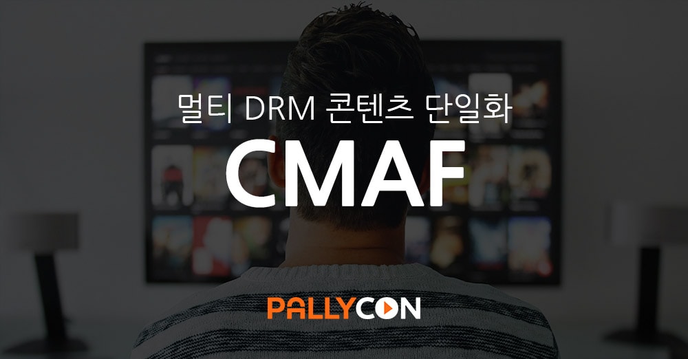 Pallycon Blog Cmaf The Question For Single Format Streaming Ko