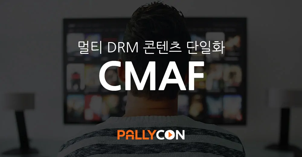 Pallycon Blog Cmaf The Question For Single Format Streaming Ko