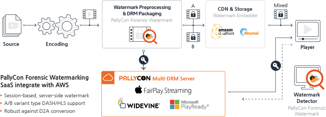 Forensic Watermarking - Invisible Watermark on Video Online | PallyCon