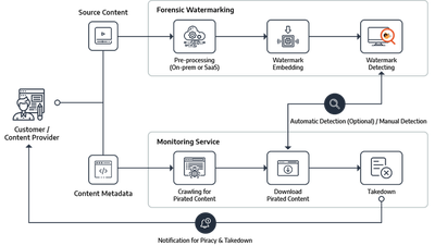 Automated and manual takedown