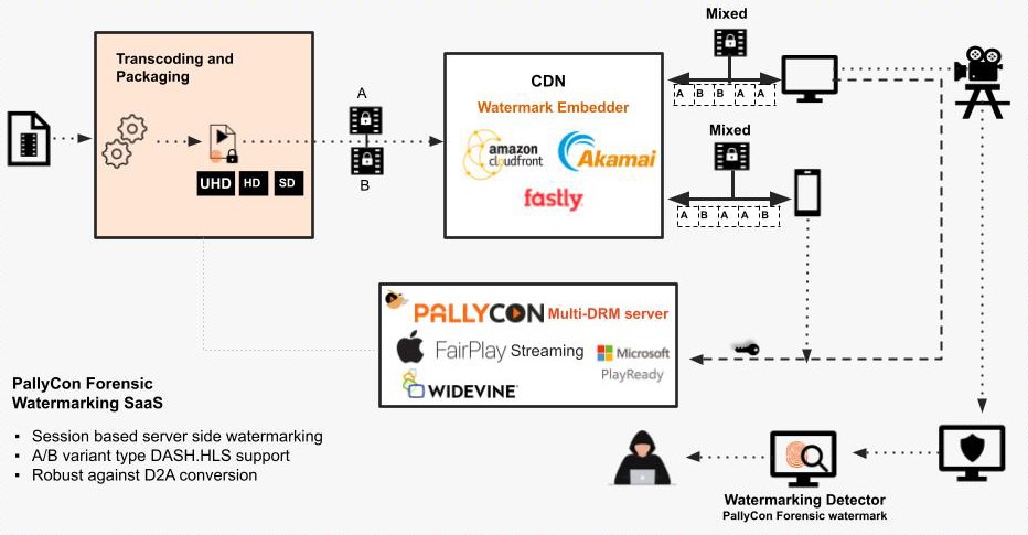 Forensic watermarking integration