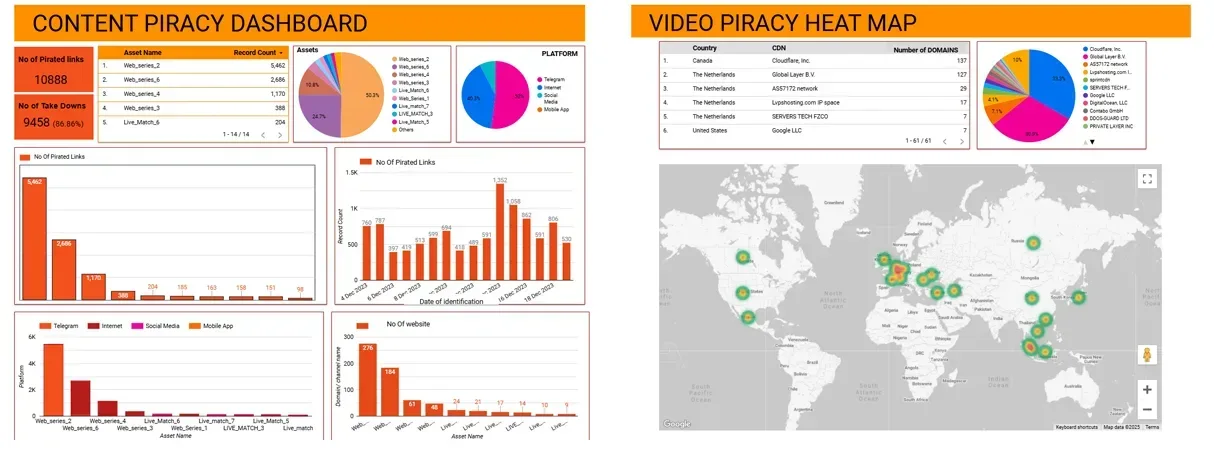 Piracy audit report