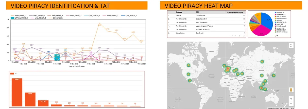 Piracy audit report