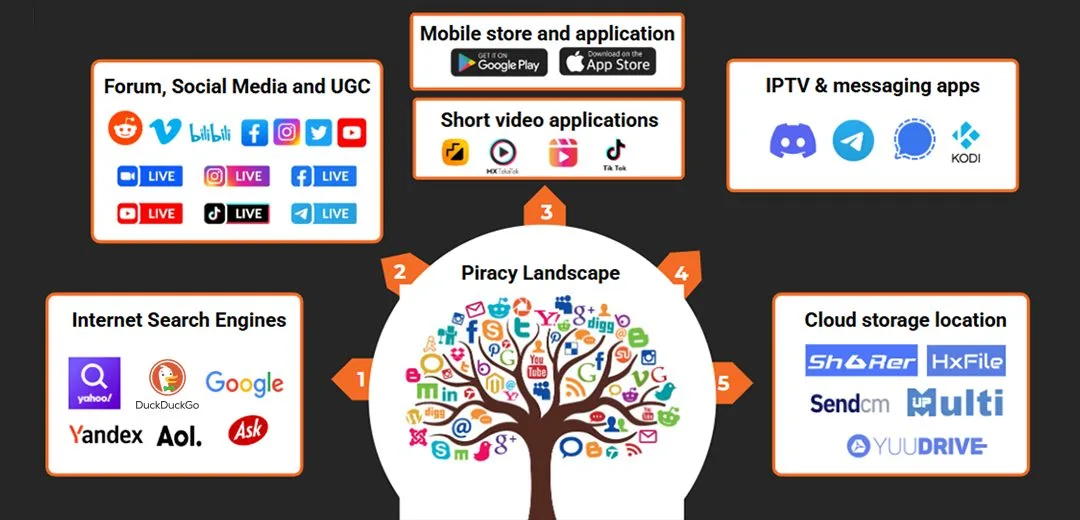 Anti-piracy platforms